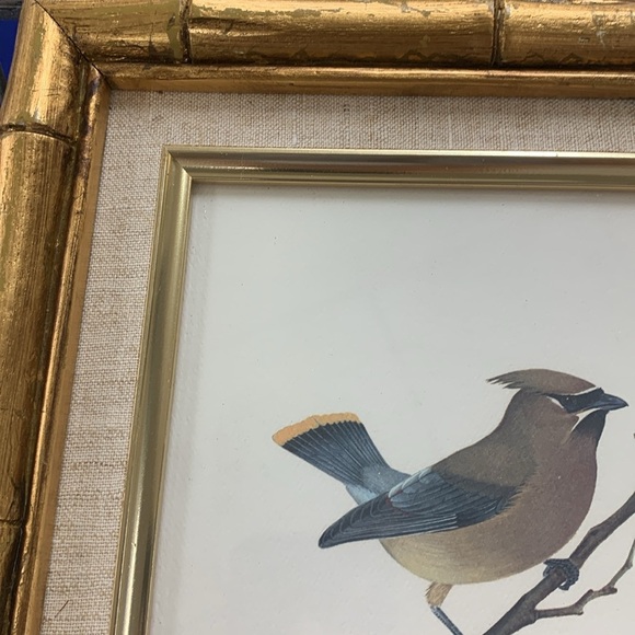 Sherm Pehrson Bird Prints Set of 3 wall art decor‎ bamboo wooden frames gold - Picture 4 of 16